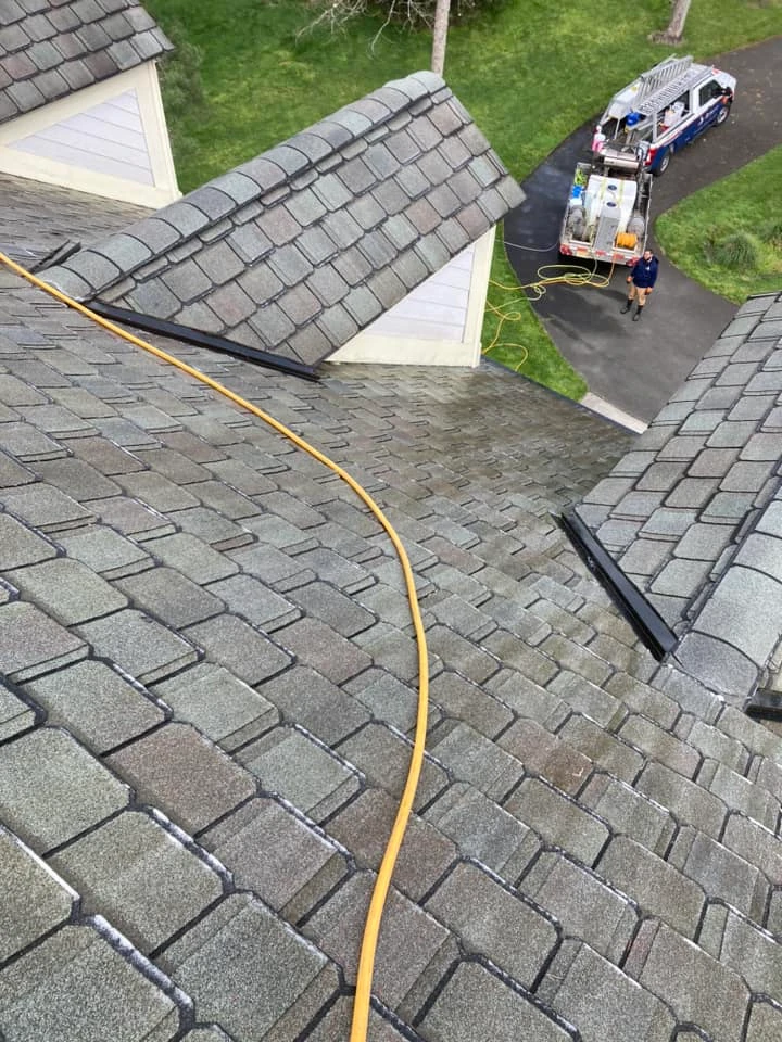 Mold And Your Roof