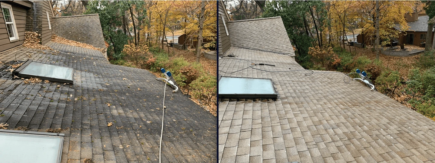 Roof Cleaning