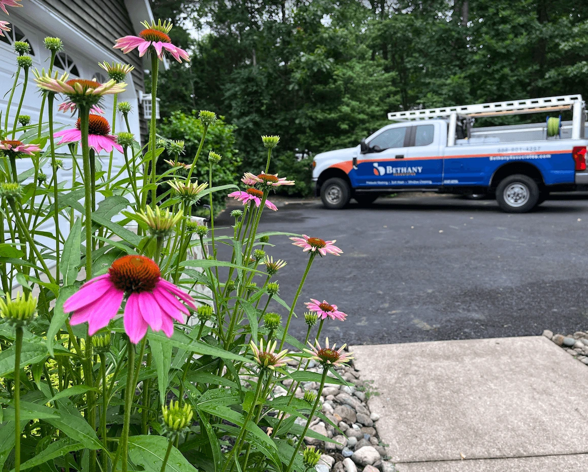 Spring Cleaning Services To Make Your Party Prep A Breeze