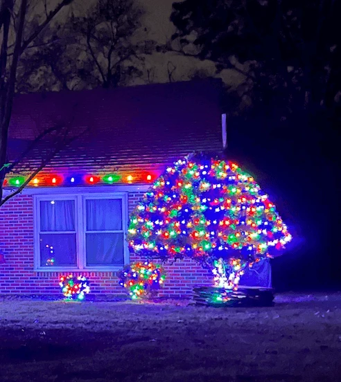 tree with lightbulb