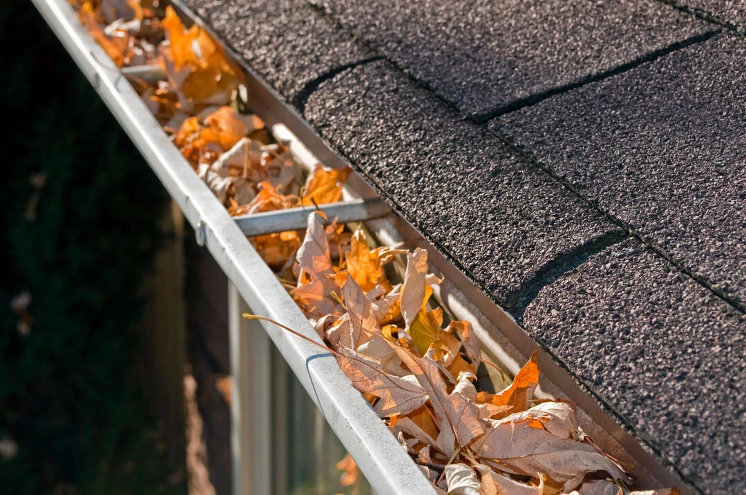 10 Signs Of Clogged Gutters And What To Do About Them